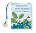 Blueberries from Heaven: A Basketful of Wisdom With Charm Carol Tebo and Jo Gershman