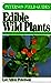 Field Guide to Edible Wild Plants: Eastern and Central North America [Paperback] Peterson, Lee