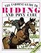 The Usborne Guide to Riding and Pony Care [Paperback] Rawson, Christopher  Spector, Joanna  Polling, Elizabeth