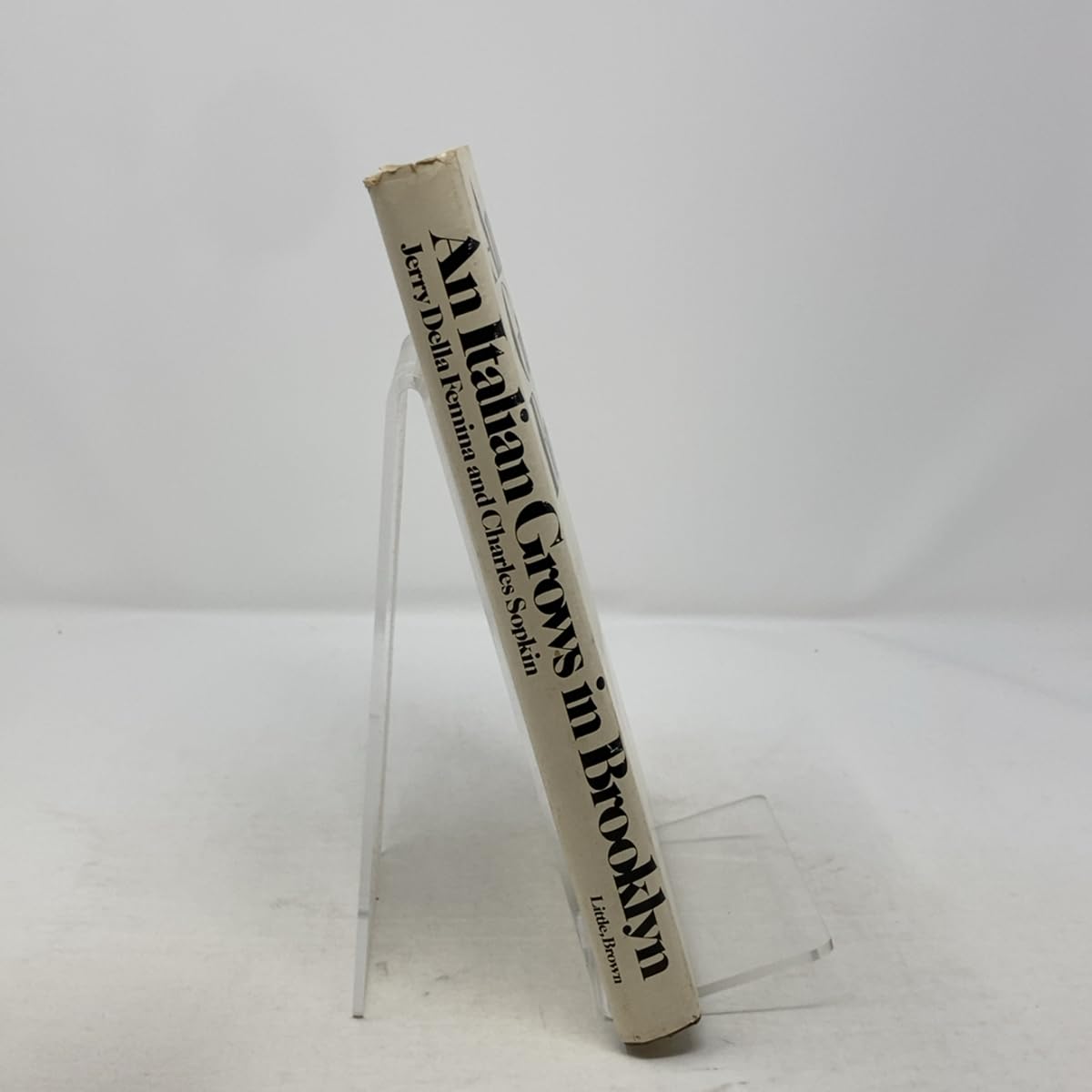 An Italian grows in Brooklyn used book depot