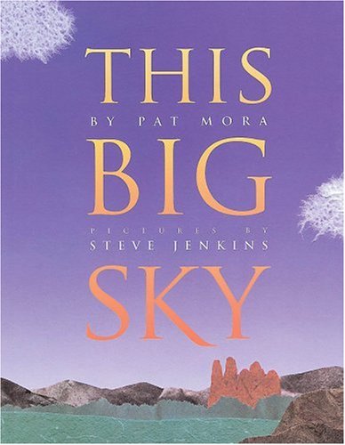 This Big Sky used book depot