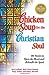 Chicken Soup for the Christian Soul: 101 Stories to Open the Heart and Rekindle the Spirit Chicken Soup for the Soul [Paperback] Canfield, Jack; Hansen, Mark Victor; Aubery, Patty and Mitchell, Nancy