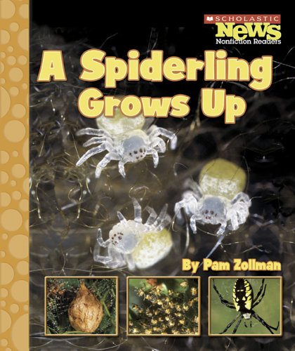 A Spiderling Grows Up Scholastic News Nonfiction Readers Zollman, Pam