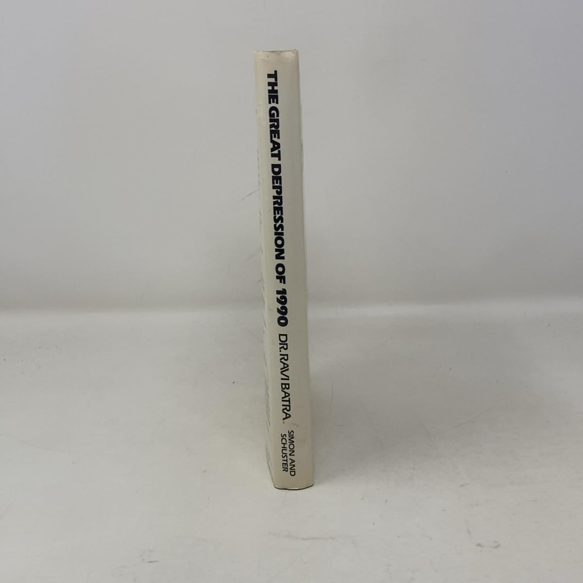 The Great Depression of 1990: Why it's got to happen---How to protect yourself used book depot