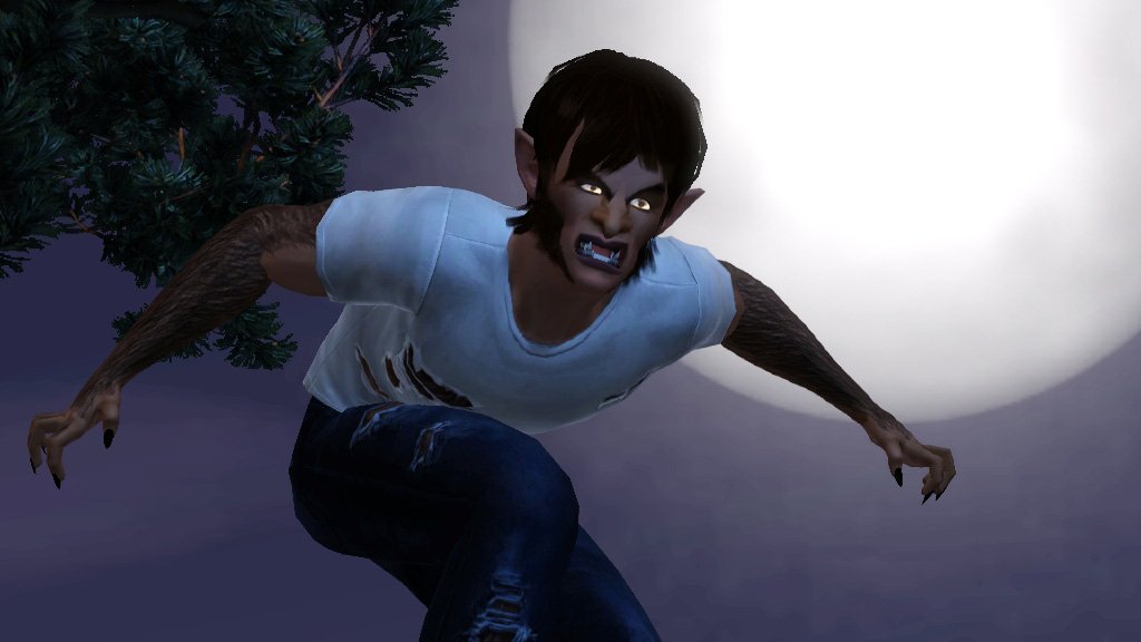 The Sims 3 Supernatural used book depot