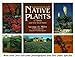 Landscaping With Native Plants of Texas and the Southwest Miller, George Oxford