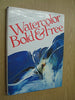 Watercolor Bold & Free