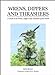 Wrens, Dippers, and Thrashers: A Guide to the Wrens, Dippers, and Thrashers of the World Brewer, Prof David; Brewer, Dave; McMinn, Sean and MacKay, Mr Barry Kent