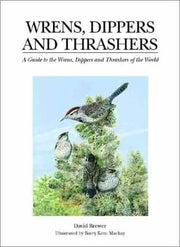 Wrens, Dippers, and Thrashers: A Guide to the Wrens, Dippers, and Thrashers of the World used book depot