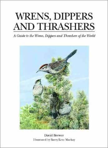 Wrens, Dippers, and Thrashers: A Guide to the Wrens, Dippers, and Thrashers of the World used book depot
