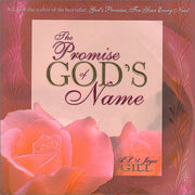 The Promise of God's Name used book depot