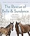 The Rescue of Belle and Sundance: One Towns Incredible Race to Save Two Abandoned Horses A Merloyd Lawrence Book [Hardcover] Stutz, Birgit and Scanlan, Lawrence
