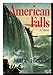 American Falls: A Novel Batchelor, John Calvin