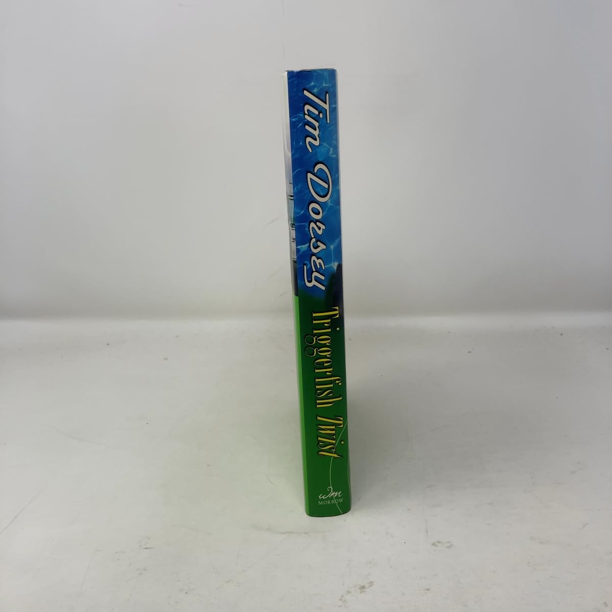 Triggerfish Twist: A Novel used book depot