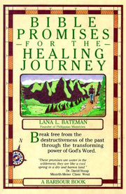 Bible Promises for the Healing Journey used book depot