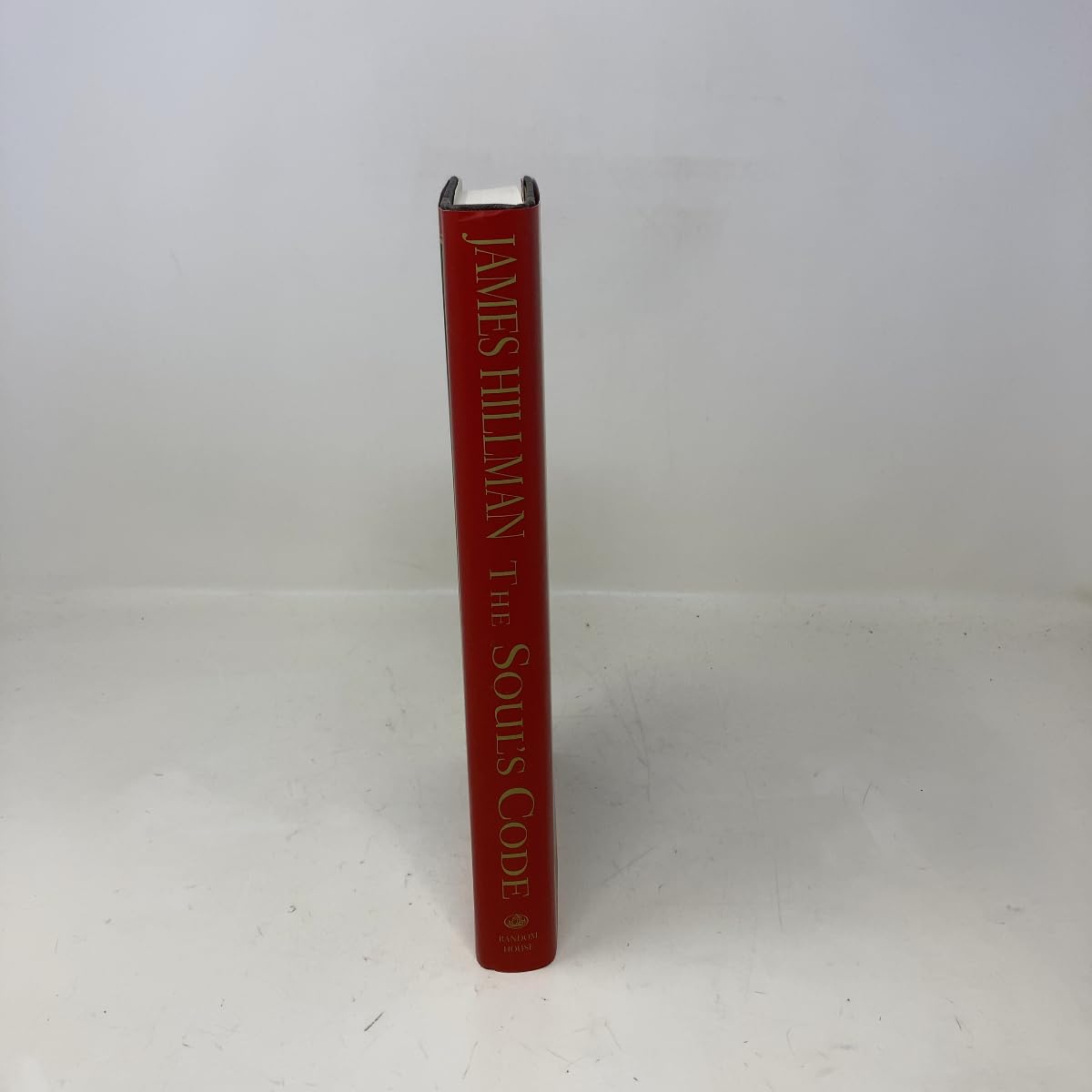 The Soul's Code: In Search of Character and Calling