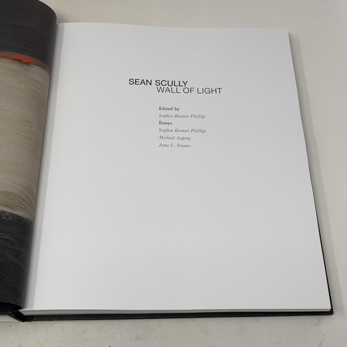 Sean Scully: Wall of Light used book depot