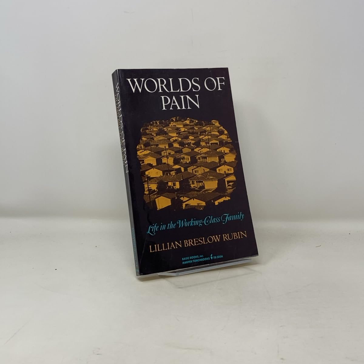 Worlds Of Pain: Life In The Working-class Family used book depot