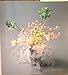 Ikebana Season to Season: 48 Stylish Arrangements Ohno, Noriko