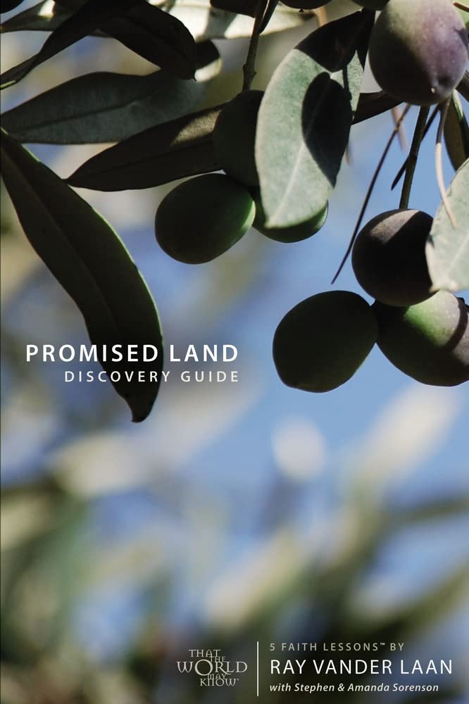 Promised Land Discovery Guide: 5 Faith Lessons (1) used book depot