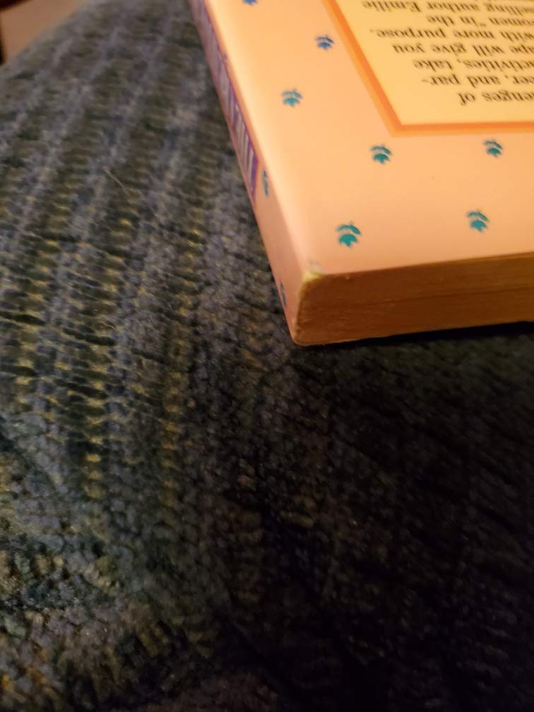 The Creative Home Organizer
