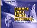 Common Small Animal Medical Diagnoses: An Algorithmic Approach Davies MA  VetMB  Cert VA  MS  MRCVS, Charlotte; Shell DVM  Diplomate  ACVIM Neurology, Linda and Shell, Linda