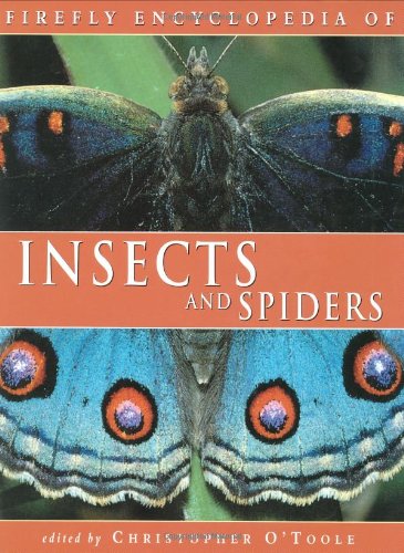 Firefly Encyclopedia of Insects and Spiders used book depot
