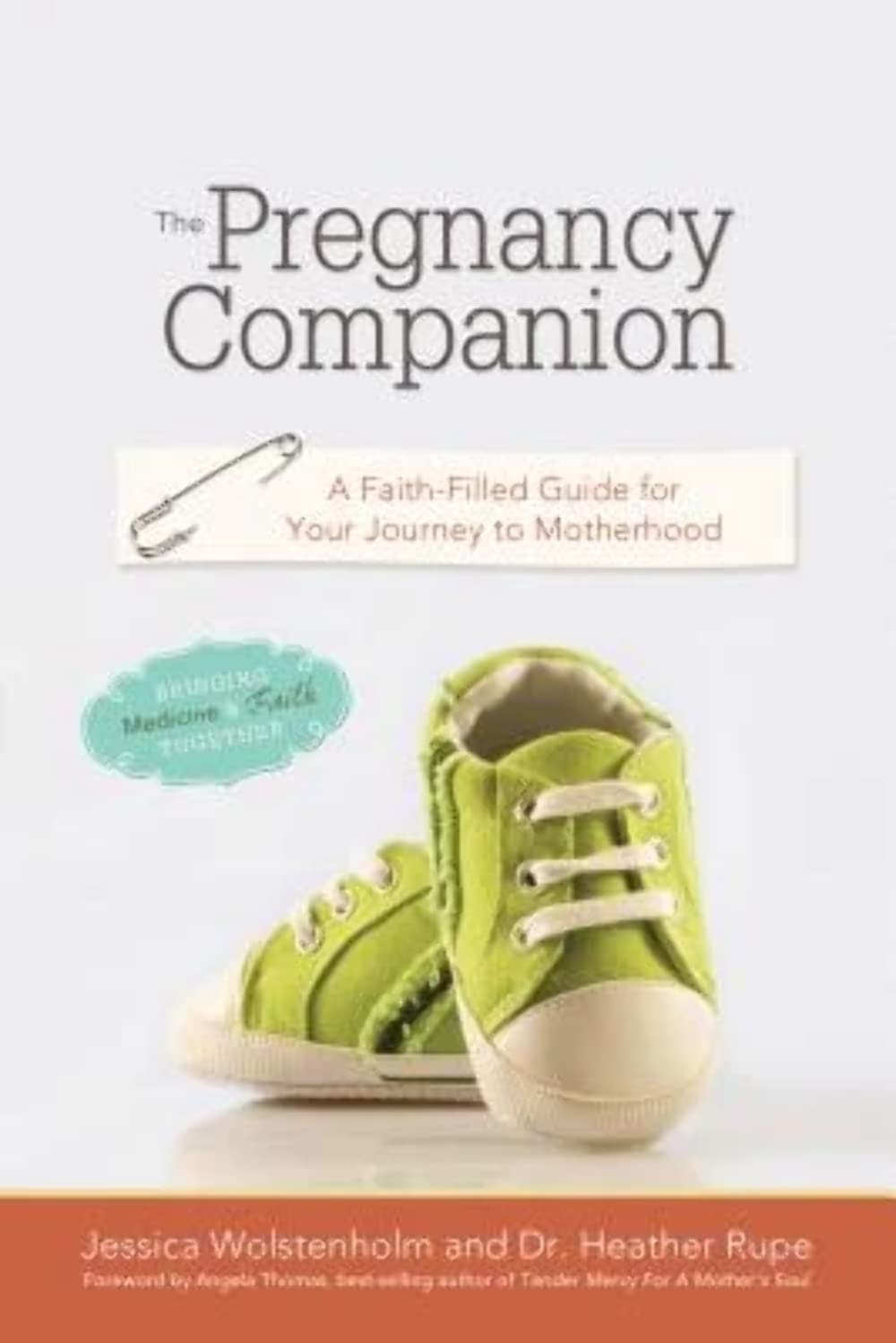 The Pregnancy Companion: A Faith Filled Guide for Your Journey to Motherhood used book depot