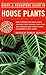 Simon  Schusters Guide to House Plants Chiulosi, Allessandro B