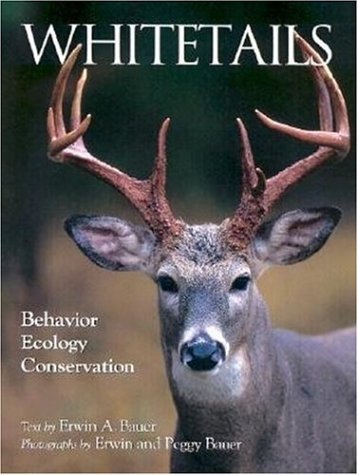 Whitetails: Behavior Ecology Conservation used book depot