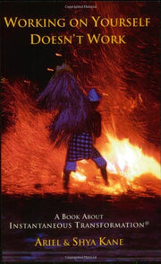 Working on Yourself Doesn't Work: A Book About Instantaneous Transformation used book depot
