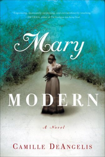 Mary Modern: A Novel used book depot