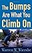 The Bumps Are What You Climb On: Encouragement for Difficult Days Wiersbe, Warren W