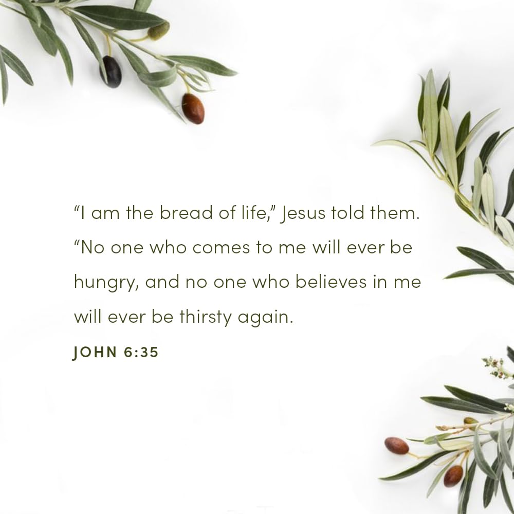 Finding I AM: How Jesus Fully Satisfies the Cry of Your Heart - Bible Study Book used book depot