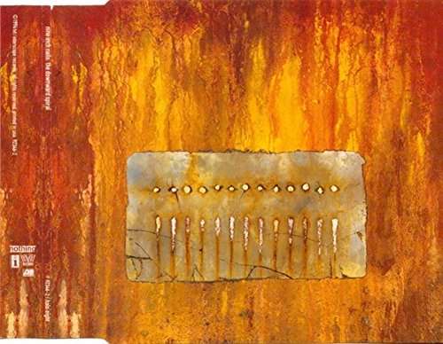 The Downward Spiral used book depot