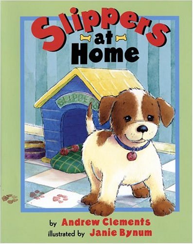 Slippers At Home used book depot
