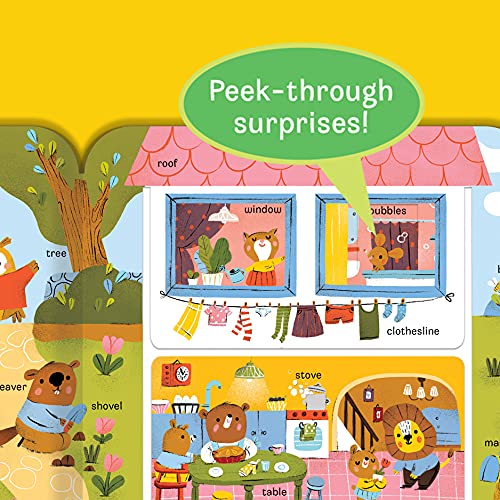 Peek-a-Flap Words Lift-a-Flap Board Book for Curious Minds and Little Learners; Ages 1-5 used book depot