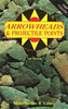 Arrowheads And Projectile Points