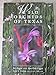 Wild Orchids of Texas (Corrie Herring Hooks Series)