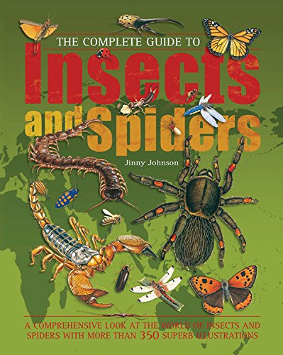 Complete Guide To Insects And Spiders used book depot