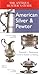 Antique Hunter's Guide to American Silver & Pewter