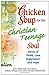 Chicken Soup for the Christian Teenage Soul: Stories to Open the Hearts of Christian Teens Chicken Soup for the Soul Canfield, Jack; Hansen, Mark Victor; Kirberger, Kimberly; Aubery, Patty and Autio, Nancy Mitchell