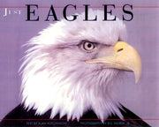Just Eagles used book depot