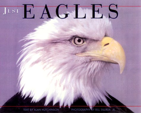 Just Eagles used book depot