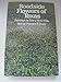 Roadside Flowers of Texas (Elma Dill Russell Spencer Foundation, Series Number 1)