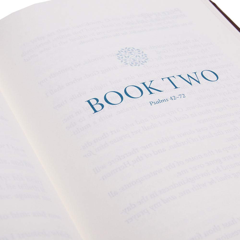 Psalms of the Bible: The Songs of Scripture in Both Contemporary and Classic Form used book depot