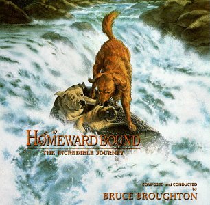 Homeward Bound: The Incredible Journey (1993 Film) used book depot
