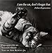 I Am the Cat, Don't Forget That: Feline Expressions