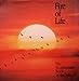 Fire of Life: The Smithsonian Book of the Sun