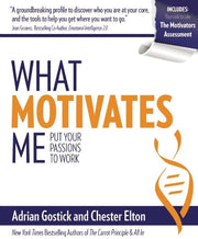 What Motivates Me: Put Your Passions to Work used book depot